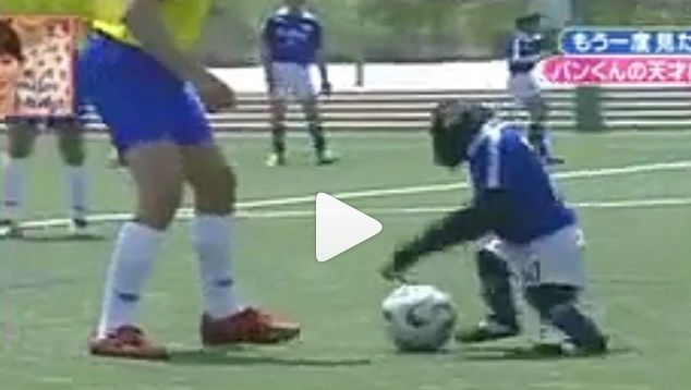 Video | Dieser Affe dribbelt besser als Lionel Messi, CR7 und Co.!