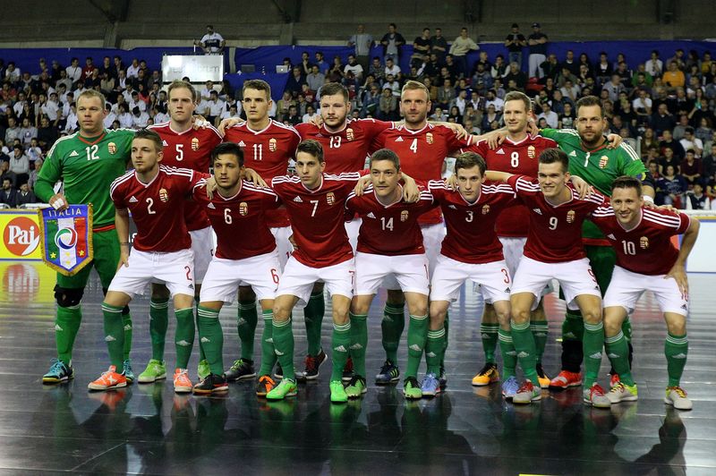 Die zehn größten Underdogs bei der EM in Frankreich!