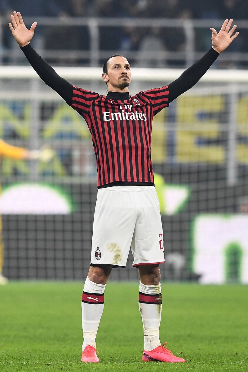 Zlatan Ibrahimovic hat sich eine Marke und ein extrem großes Vermögen aufgebaut.