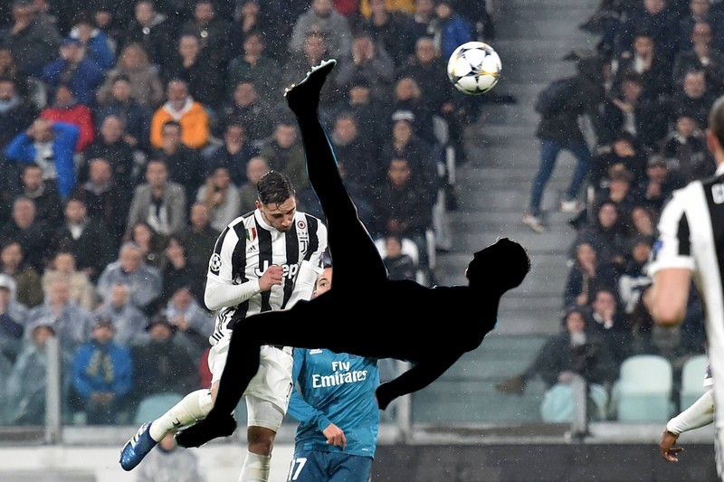 Ein biomechanisches Meisterwerk: Diese Form ist so perfekt, dass sie fast künstlich wirkt.